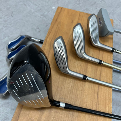 ワールドイーグル　フィットウェイ　レディースゴルフ　クラブセット　8本　L　右利き用　WORLD EAGLE　Fitway