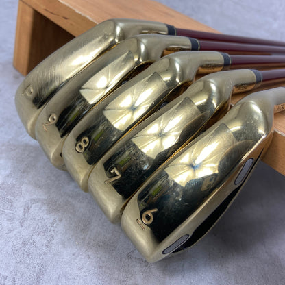 NGSL　エストック　メンズゴルフ　アイアンセット　5本　R　右利き用　ESTOC